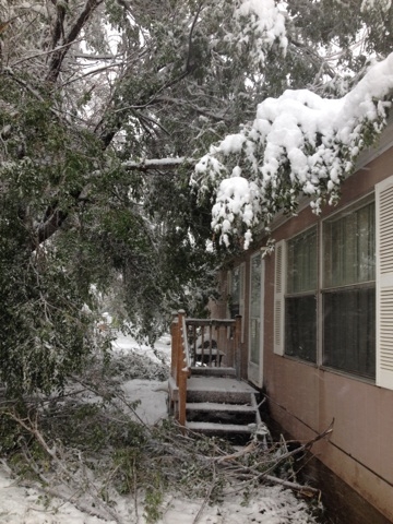 Winter Storm Atlas